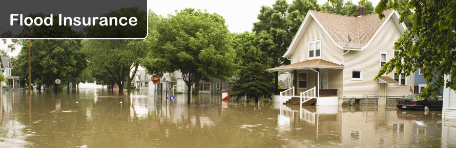 Flood Insurance Banner Flooded Residential Street